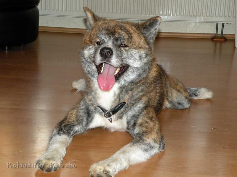 DSCN6195.jpg - Juchuu ... ich hab's geschafft!