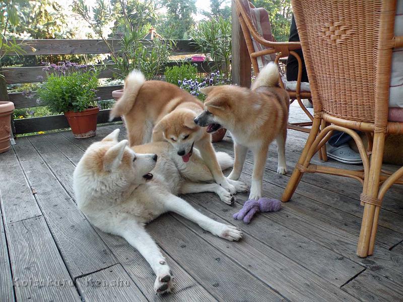 DSCN5730.jpg