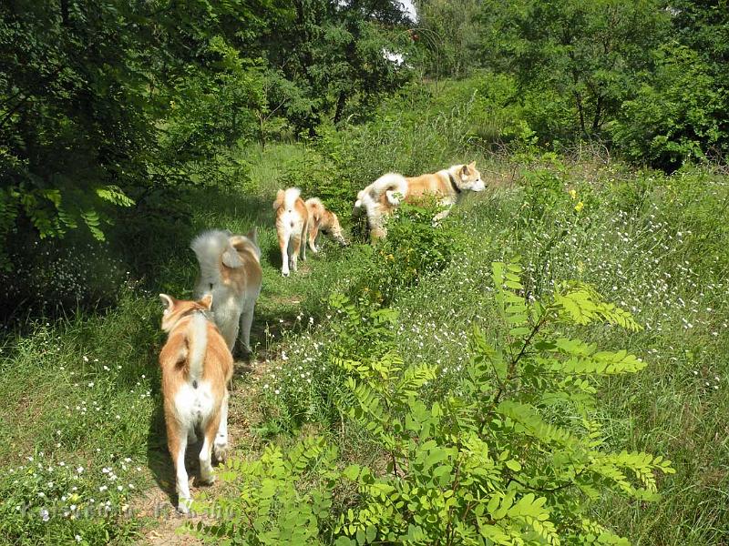 DSCN5802.jpg