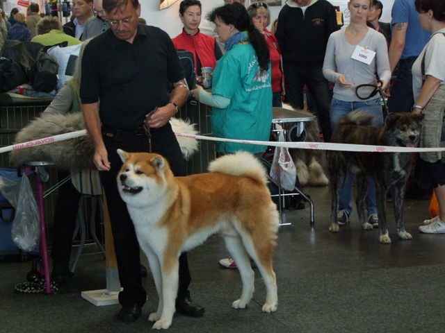 DSCF5314.JPG - Akashio 2 Jahre alt