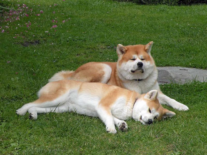 DSCN5439.jpg - Akashio mit Harumi