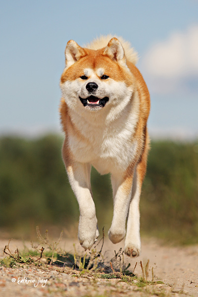 _KJ_4535.jpg - Foto: www.photo-kathrin-jung.de