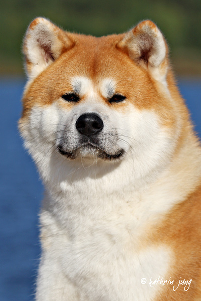 _KJ_4849.jpg - Foto: www.photo-kathrin-jung.de