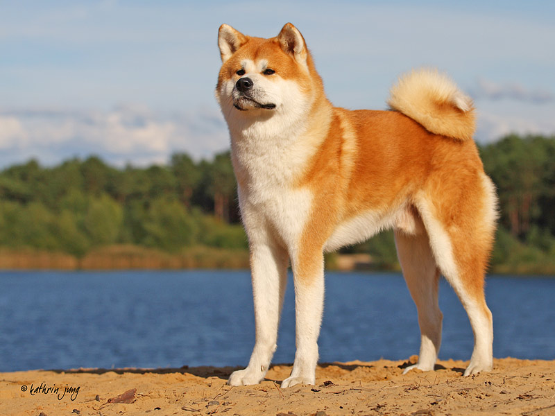 _kj_4726.jpg - Foto: www.photo-kathrin-jung.de