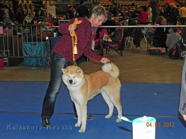 DSCN2621.jpg - Bandai-san, März 2012