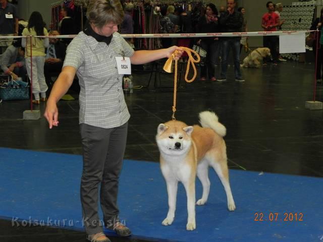 DSCN3047_Augsburg.jpg - Bandai-san in Augsburg (2 Jahre alt)