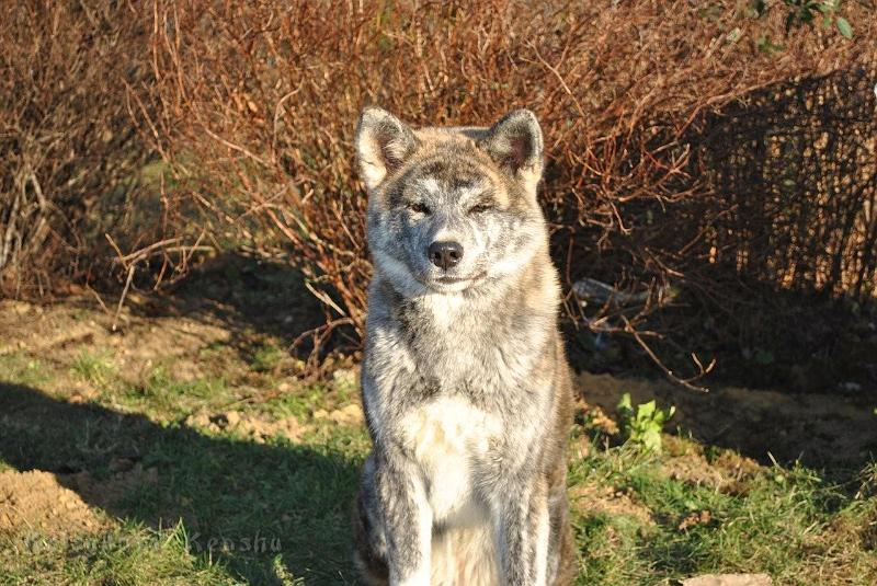 Dezember2011_2765.jpg - Shinju, 6 Monate