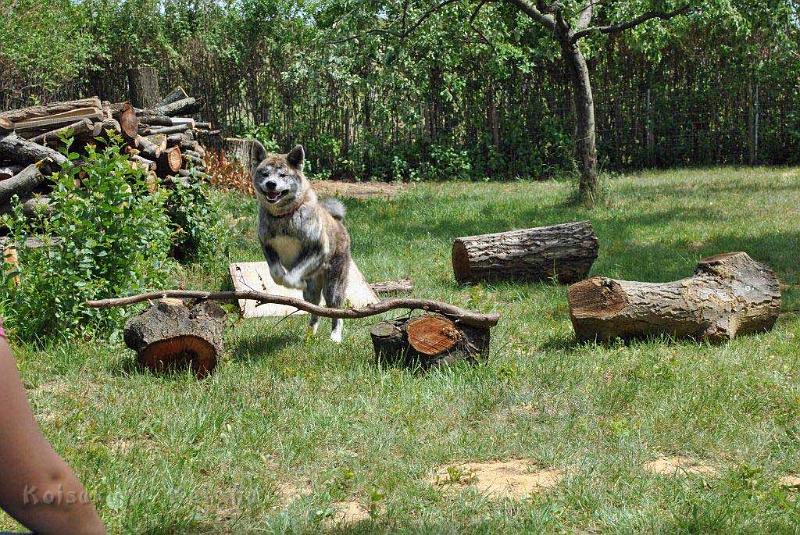 _3855.jpg - Shinju, 12 Monate