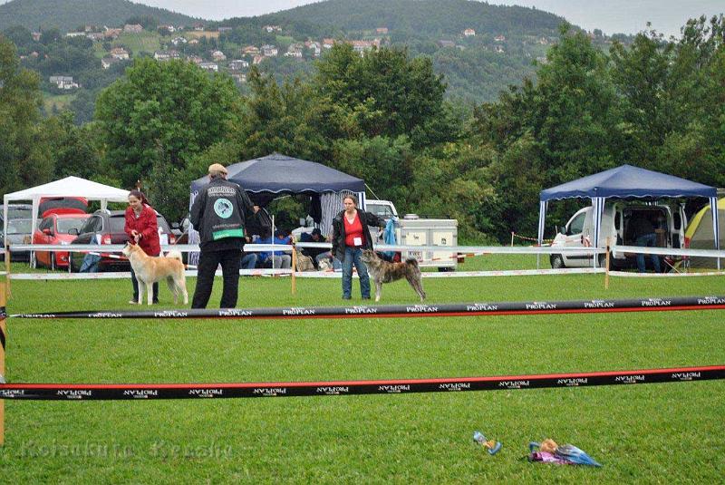 _467.jpg - Shinju - Jugendsiegerin auf der Ausstellung in Oberwart/Österreich im Juli 2012