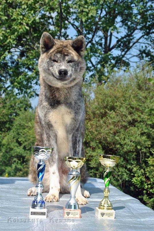 _526.jpg - Shinju (14 Monate) ist Österreichischer Jugend-Champion!