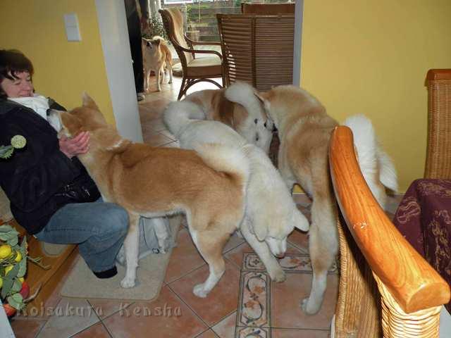 DSCN2270.jpg - Yuki zu Besuch bei uns im Dezember 2011