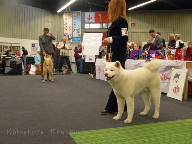 DSCN2345.jpg - Ausstellung in Nürnberg 2012