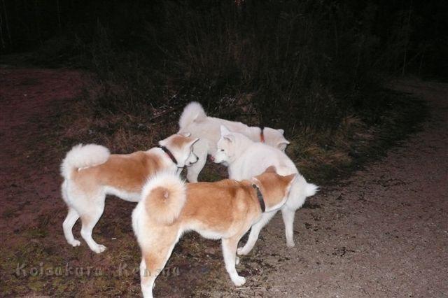P1210117.JPG - Yuki mit Bruder Chusei, Makiko und Harumi in Nürnberg 2012