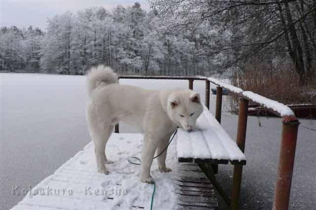 P1210432.jpg - Yuki, 8 Monate