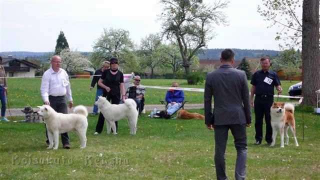 P1220640.jpg - Chiisai Yuki Go (11 Monate) mit Papa Yuki im Schwarzwald 2012
