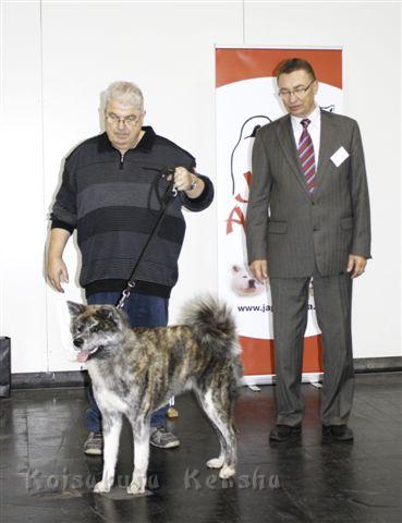 Choudai_V1_und_CAC_VDH_in_Hannover_2012.JPG - Choudai Go erhielt auf der Internationalen Rassehunde-Ausstellung in Hannover in der Zwischenklasse die Formwertnote V1 und CAC VDH.