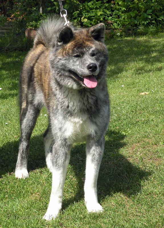 DSCN5352_Choudai_12Mon.jpg - Choudai, 12 Monate