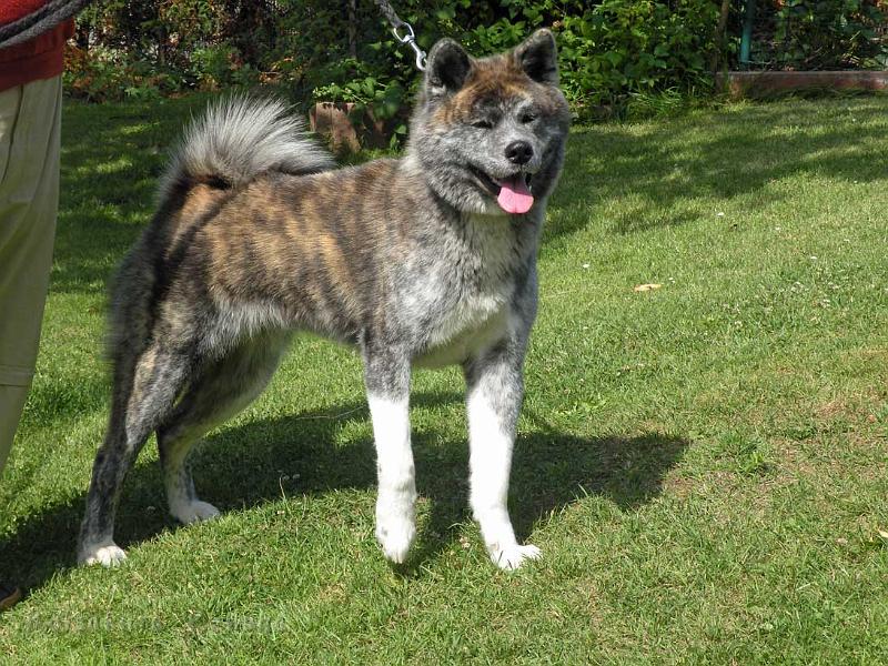 DSCN5354_12Mon.jpg - Choudai, 12 Monate