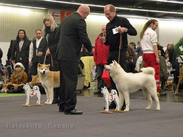 DSCN2370.jpg - Ausstellung in Nürnberg 2012, 3. Platz Vielversprechend