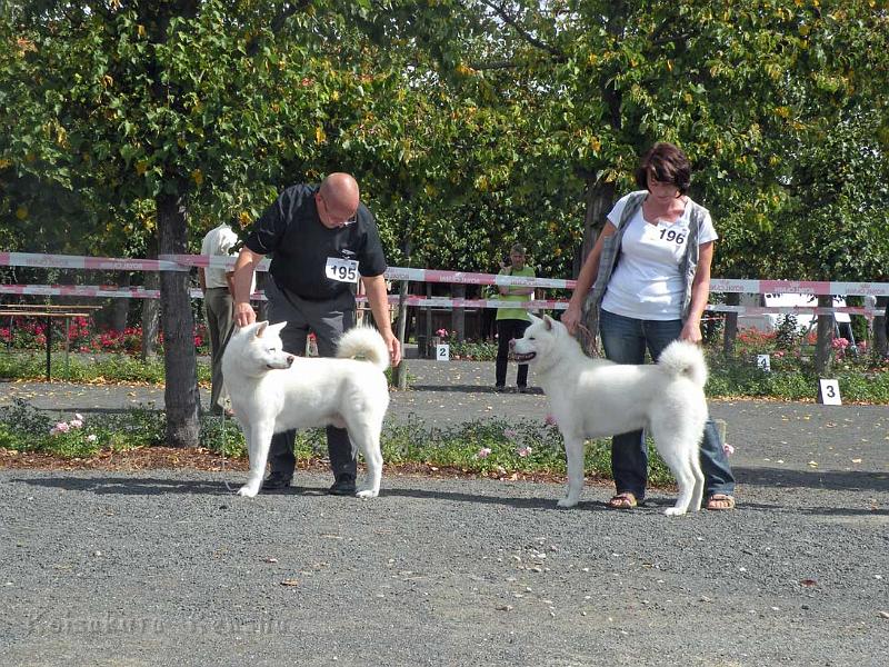 DSCN5900.jpg - Chuseishin mit Papa Yuki in Geithain, August 2012