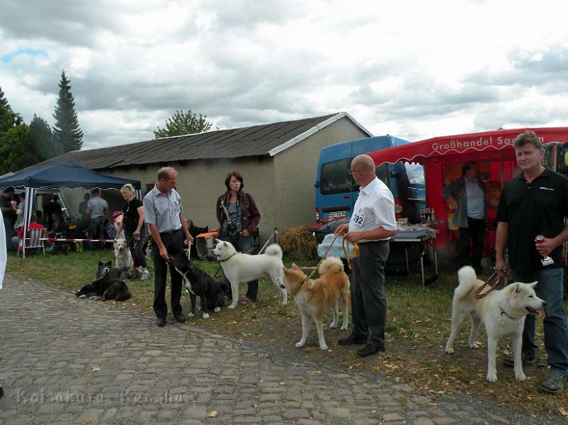 DSCN5927.jpg - Chuseishin Go, August 2012 - Warten auf den Beginn der Ausstellung Geithain