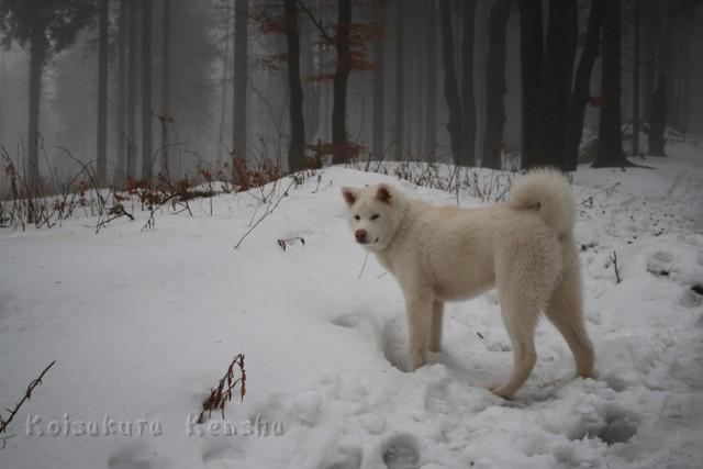 IMG_2369.JPG - Chusei, 7 Monate