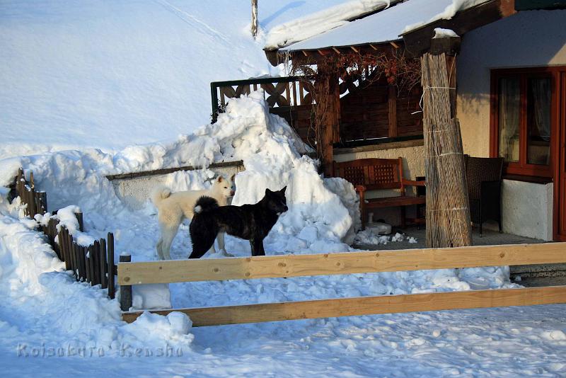 IMG_2498.jpg - Winterurlaub in Ruhpolding, Chusei 8 Monate