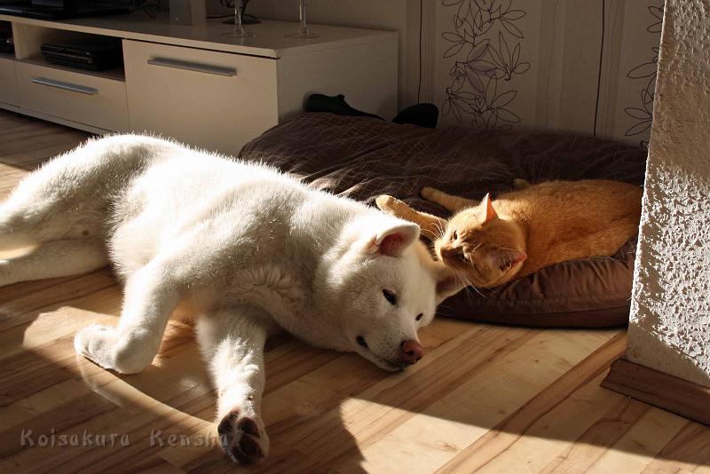 IMG_2532.jpg - Chusei, 8 Monate