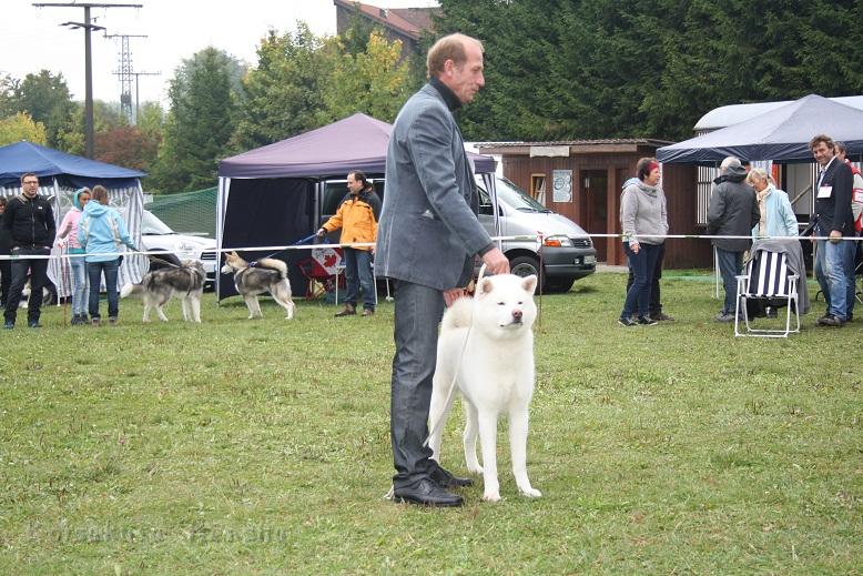 IMG_6859.jpg - 22.09.: V1  Zwischenklasse,  Anw. Dt. Ch. VDH