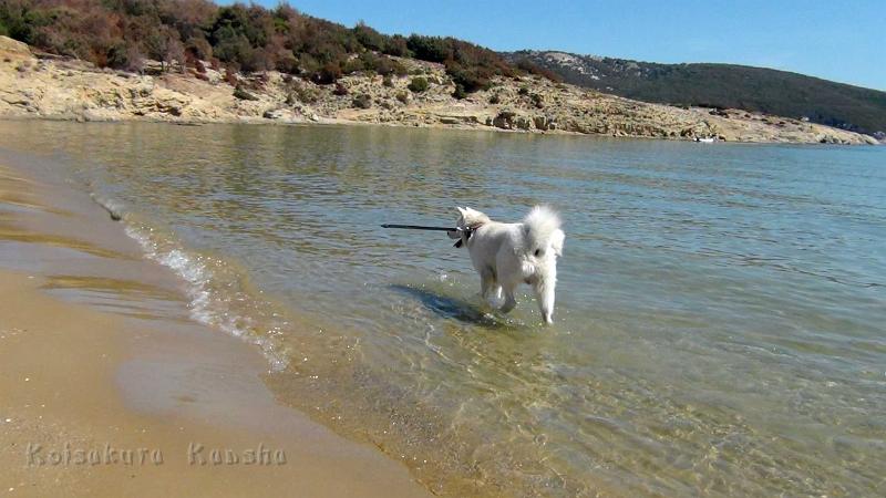 DSC07897.jpg - Chuyu an der Adria, August 2012