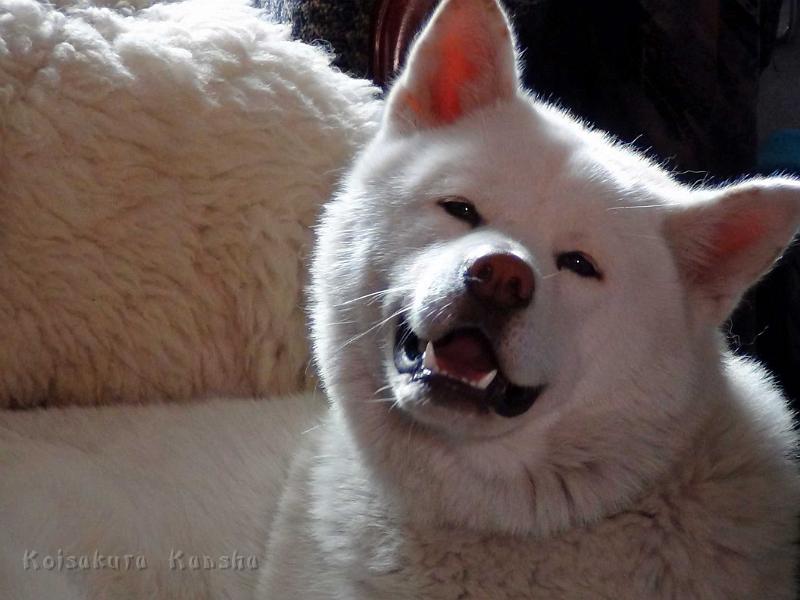 DSC09779.jpg - Chuyu Go, 14 Monate