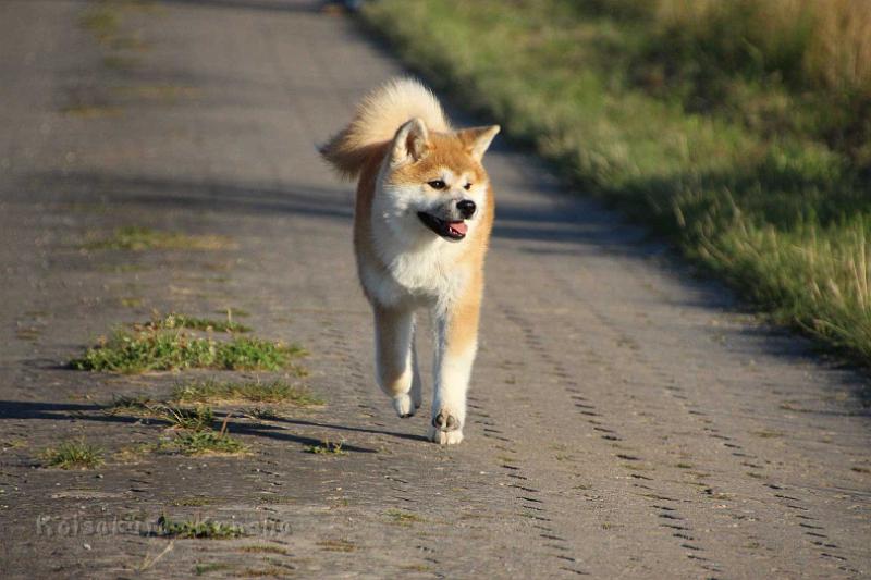 IMG_0442.jpg - Daikiri, 5 Monate