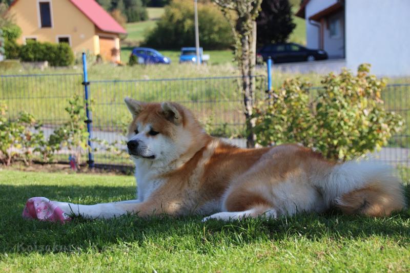 IMG_1435.JPG - Daikiri, 6 Monate