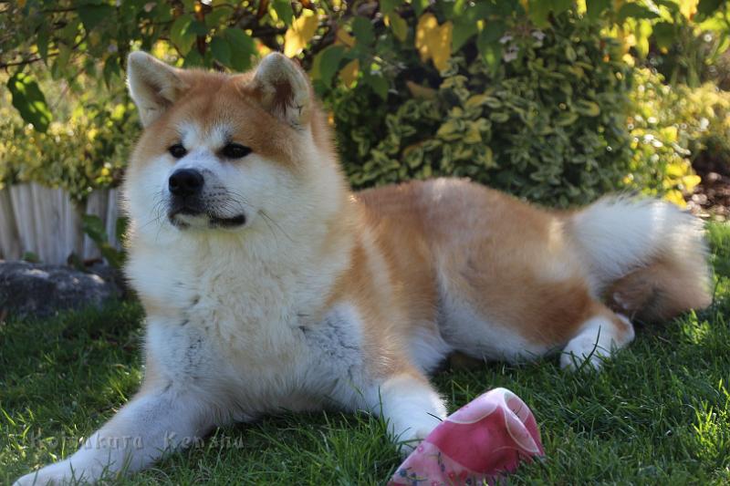 IMG_1452.JPG - Daikiri, 6 Monate