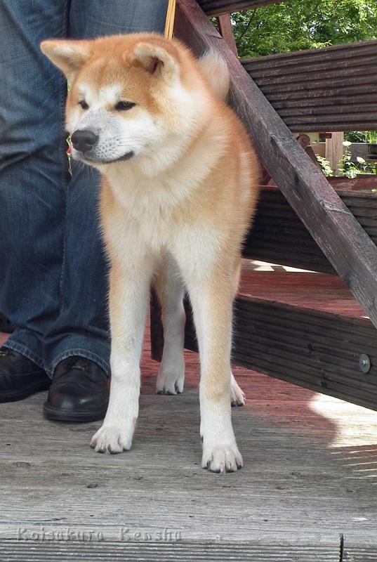 DSCN5968.jpg - Dan'yu, 5 Monate