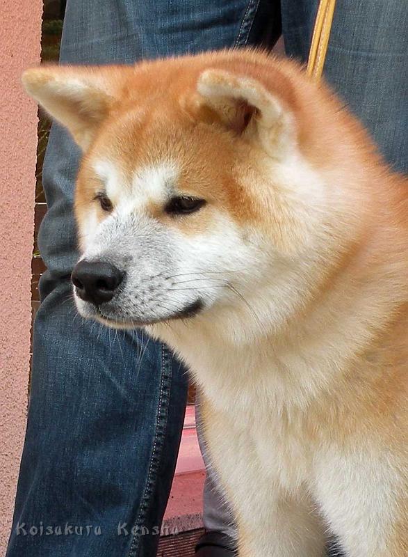 DSCN5970.jpg - Dan'yu, 5 Monate