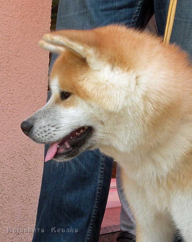 DSCN5972.jpg - Dan'yu, 5 Monate