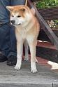 DSCN5968