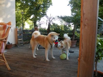Chikoo und Makiko