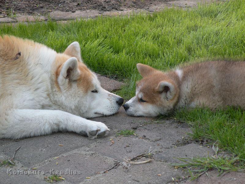 DSCN2378-a.JPG - Makiko und Harumi.