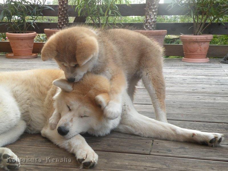 DSCN2504a.JPG - Harumi und Makiko