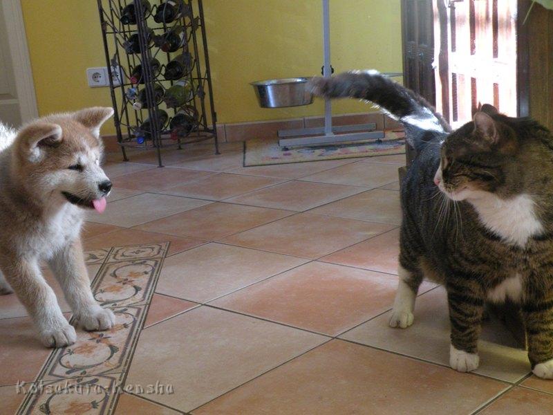 DSCN2607a.JPG - Harumi und Oskar