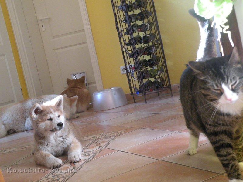 DSCN2608a.JPG - Harumi und Oskar