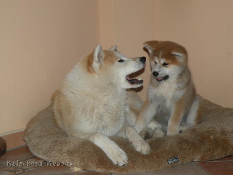 DSCN2666a.JPG - Harumi mit Makiko