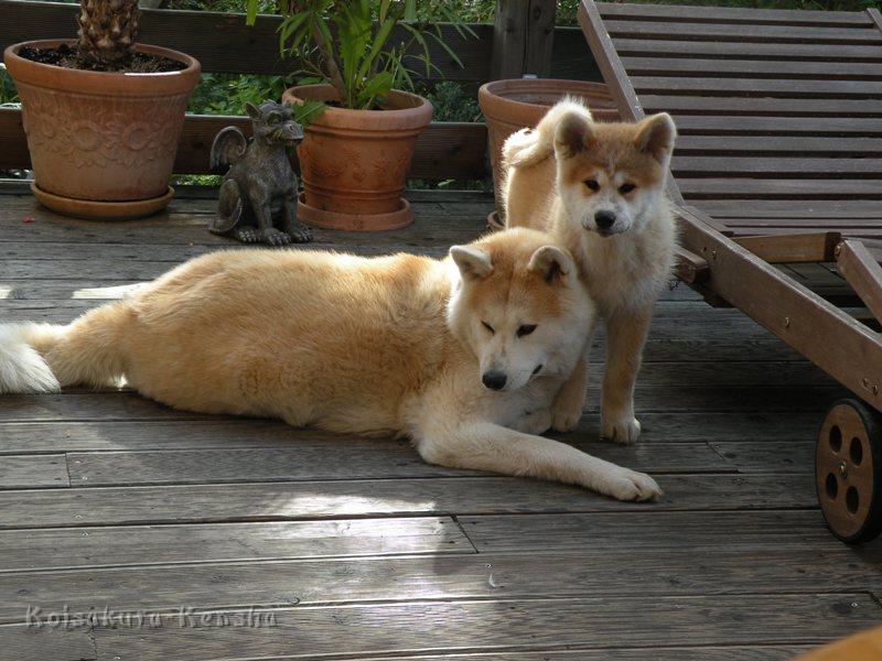 DSCN2714a.JPG - Harumi und Makiko