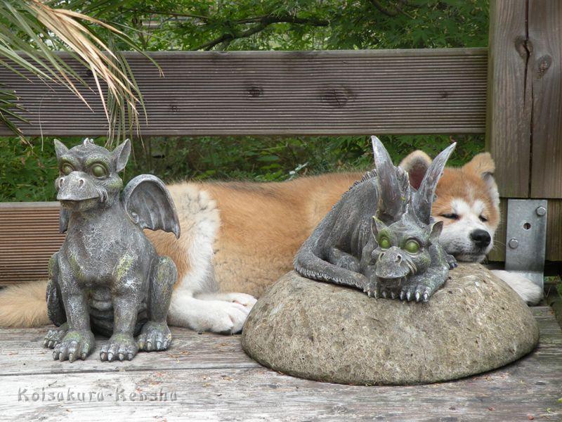 DSCN2783a.JPG - Teufelchen Harumi mit unseren Glücksdrachen Linus und Draco