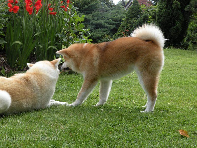 DSCN3459a.JPG - Makiko und Harumi, Juli 2009