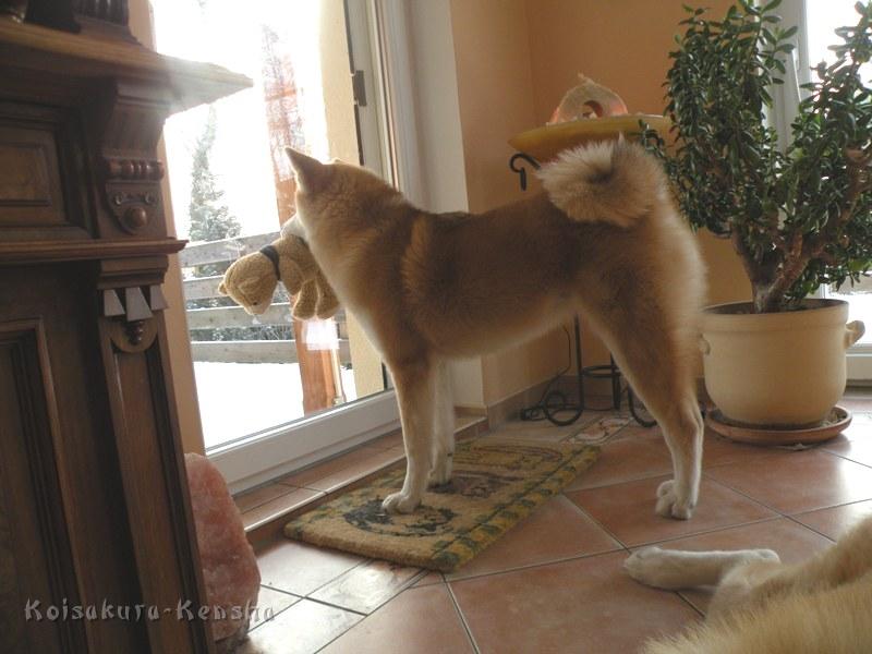 DSCN3969a.JPG - Harumi, 10 Monate