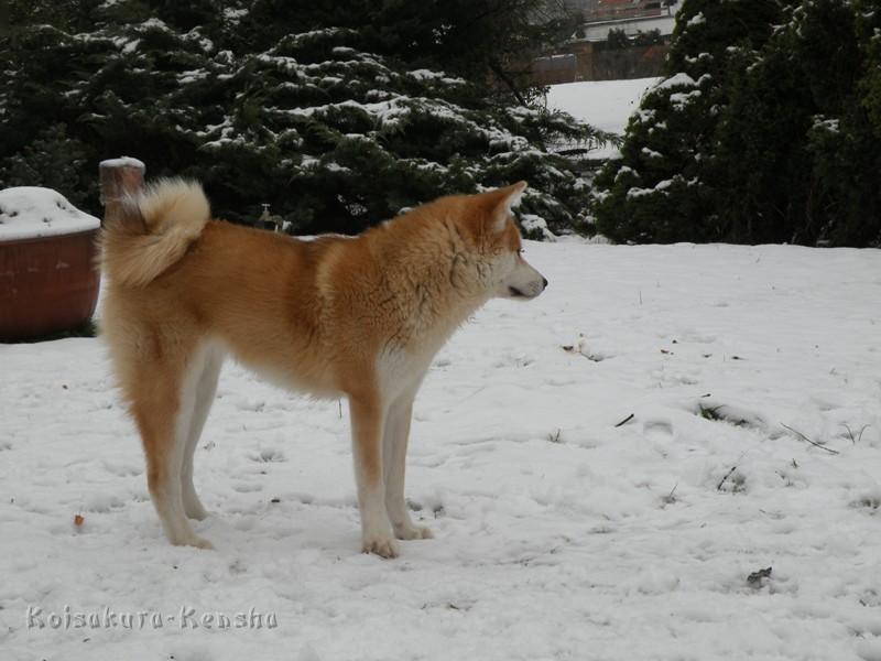 DSCN4112a.JPG - Harumi, 10 Monate