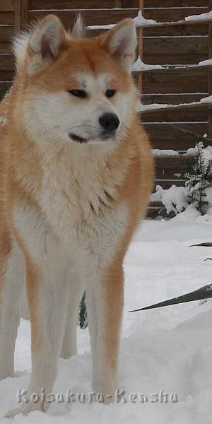 DSCN4210a.JPG - Harumi, 10 Monate